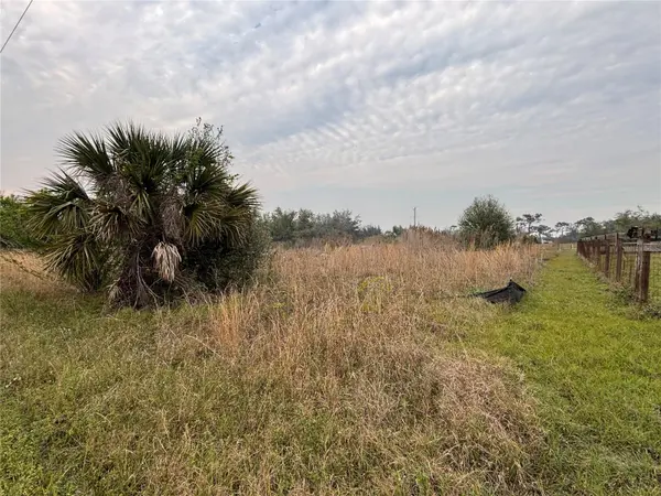 31083 PEACE ST, Punta Gorda, FL 33982