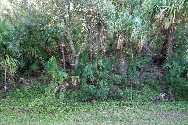14299 CANNELL LN, Port Charlotte, FL 33953