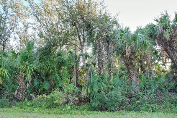14299 CANNELL LN, Port Charlotte, FL 33953