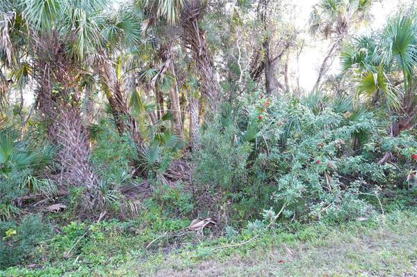 14299 CANNELL LN, Port Charlotte, FL 33953