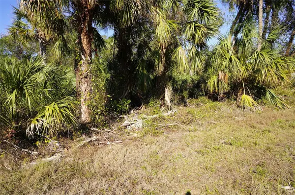 16150 ARCARO AVE, Port Charlotte, FL 33954