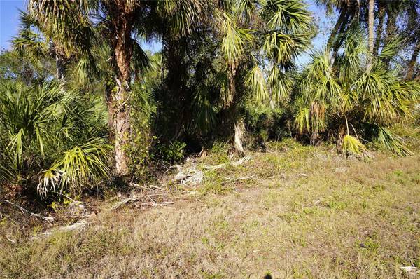 16150 ARCARO AVE, Port Charlotte, FL 33954