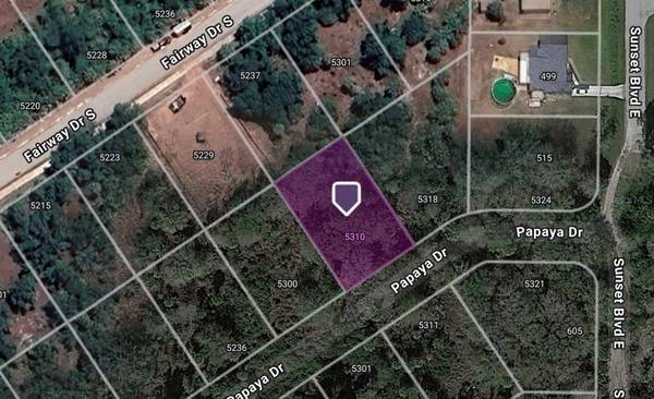 5310 PAPAYA DR, Punta Gorda, FL 33982