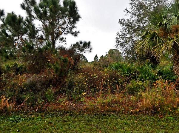LENAPE LN, North Port, FL 34291