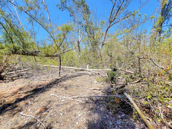 MANASOTA KEY ISLAND, Englewood, FL 34223