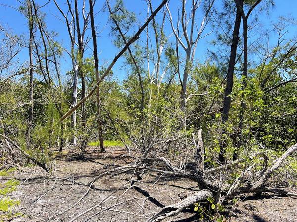 MANASOTA KEY ISLAND, Englewood, FL 34223