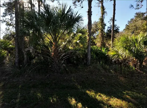 LOT 17 RUIZ ST, North Port, FL 34286