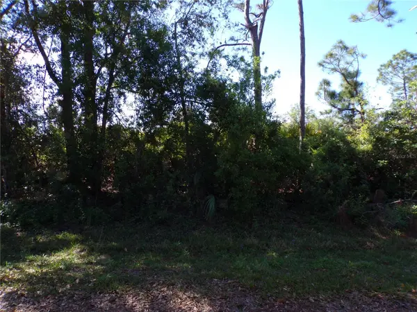 26251 HAPSBURG RD, Punta Gorda, FL 33955