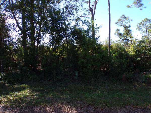 26251 HAPSBURG RD, Punta Gorda, FL 33955
