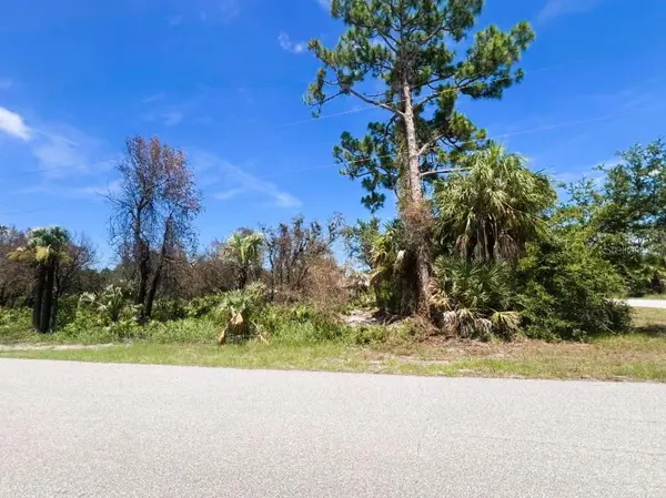 17128 WINTERGARDEN AVE, Port Charlotte, FL 33948
