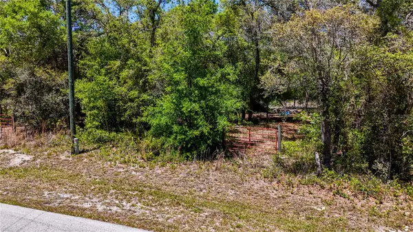 34281 UMBRELLA ROCK DR, Webster, FL 33597