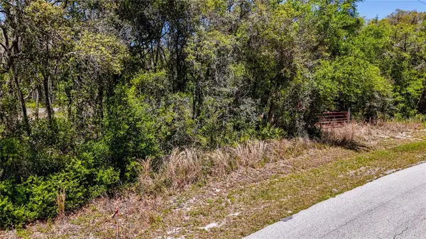 34281 UMBRELLA ROCK DR, Webster, FL 33597