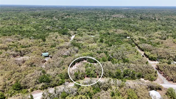 34281 UMBRELLA ROCK DR, Webster, FL 33597