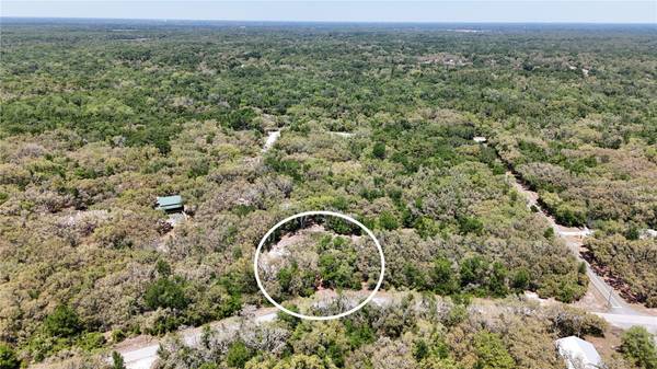 34281 UMBRELLA ROCK DR, Webster, FL 33597