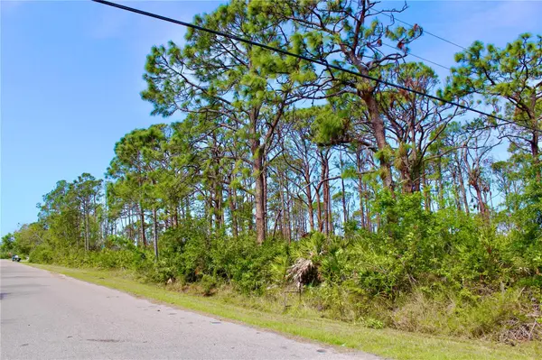 5237 CHANEY TER, Port Charlotte, FL 33981