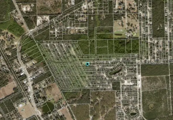 711 HICKORY NUT TRL, Satsuma, FL 32189
