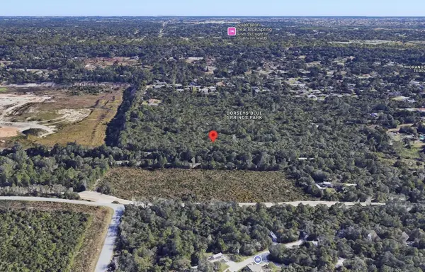 RIEGEL (PAPER) AVE, Orange City, FL 32763