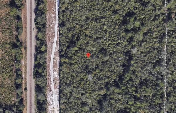 RIEGEL (PAPER) AVE, Orange City, FL 32763 photo 3