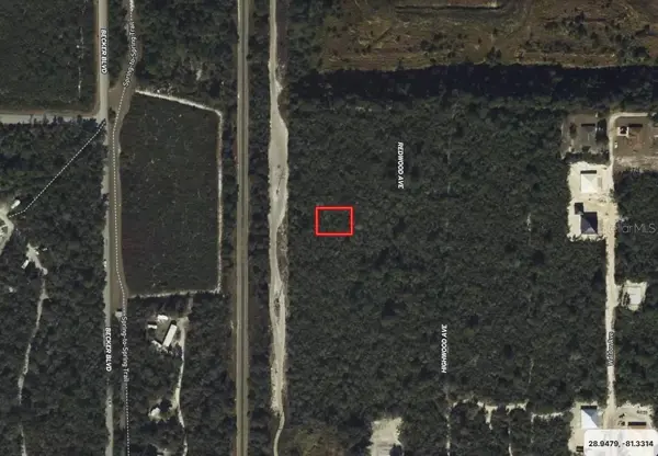 RIEGEL (PAPER) AVE, Orange City, FL 32763