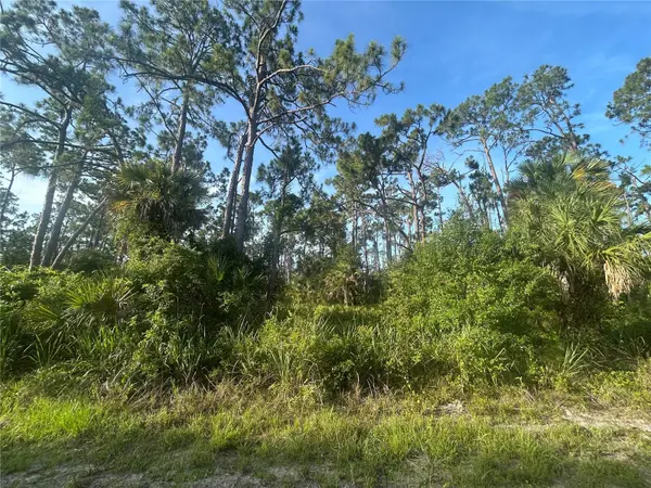 18157 WAKASHAN AVE, Port Charlotte, FL 33948