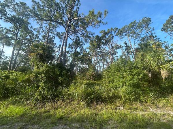 18157 WAKASHAN AVE, Port Charlotte, FL 33948