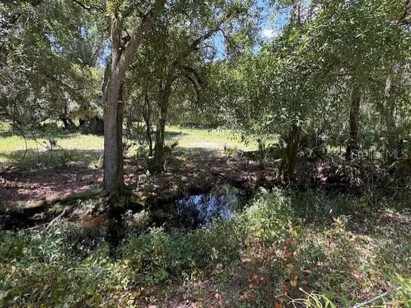 10613 SE FOSTER AVE, Arcadia, FL 34266