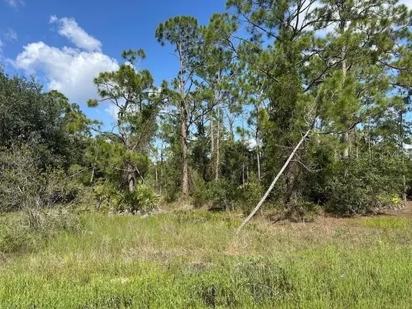13036 APACHE DR, Punta Gorda, FL 33955