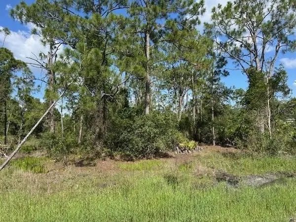 13036 APACHE DR, Punta Gorda, FL 33955