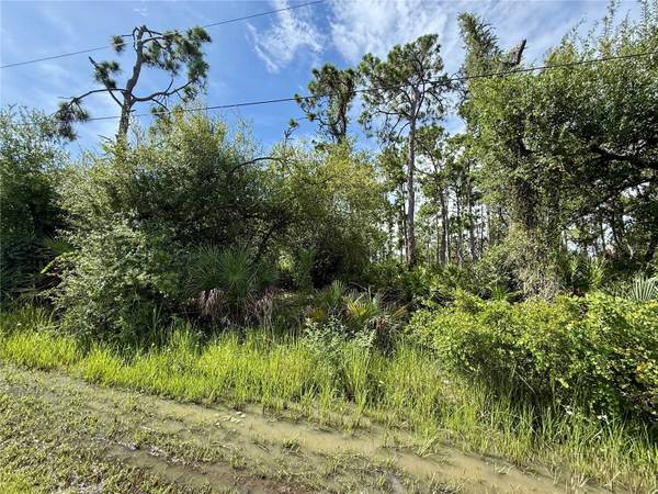 13165 GOTHAM AVE, Port Charlotte, FL 33954