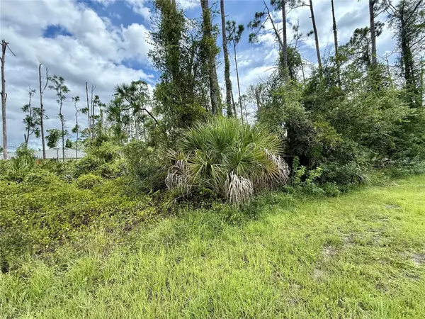 DRAGONFLY AVE, North Port, FL 34288