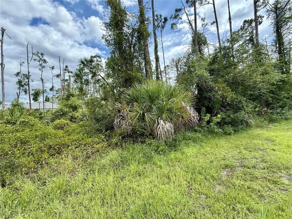 DRAGONFLY AVE, North Port, FL 34288