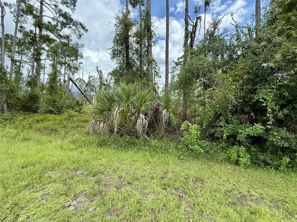 DRAGONFLY AVE, North Port, FL 34288