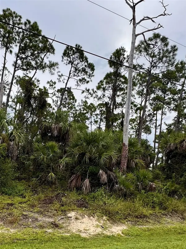 SADNET LN, North Port, FL 34286
