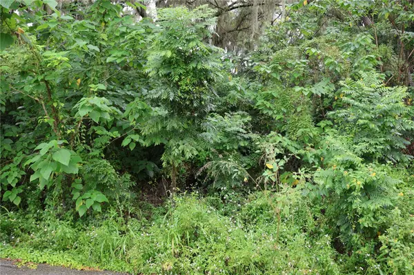 3330 SE 11TH AVE, Ocala, FL 34471