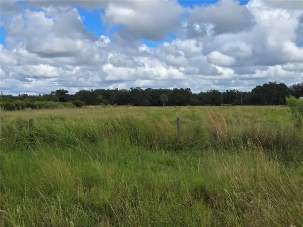 SE PIGGY BACK RD, Arcadia, FL 34266
