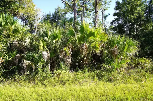 1294 BIRCH TER, Port Charlotte, FL 33953