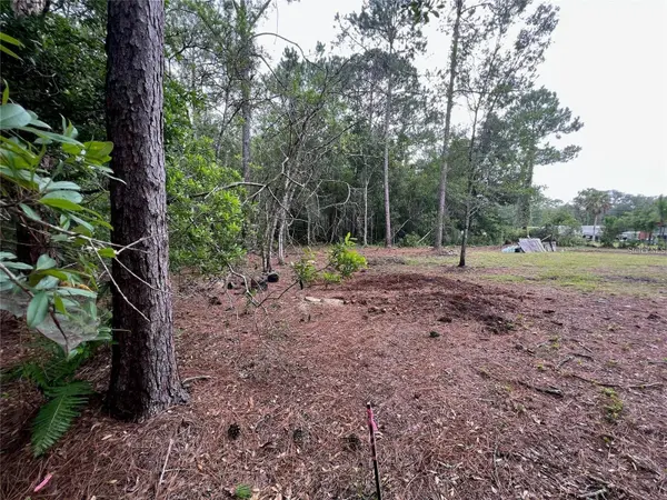 12955 RIO VISTA AVE, New Port Richey, FL 34654