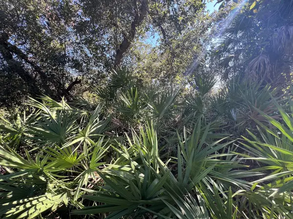 DE LEON DR, North Port, FL 34287