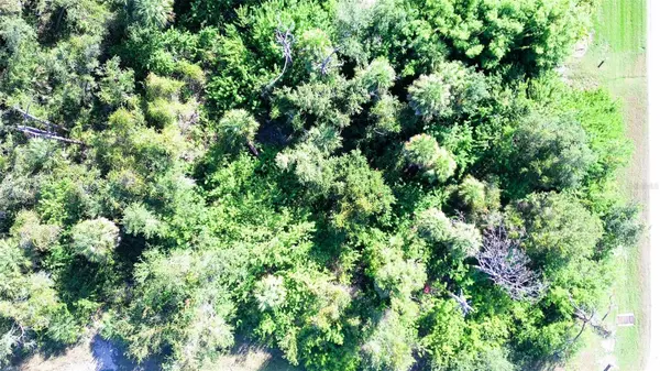 197 COUGAR WAY, Rotonda West, FL 33947