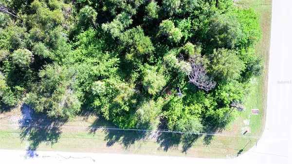 199 COUGAR WAY, Rotonda West, FL 33947
