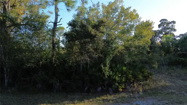 27481 SENATOR DR, Punta Gorda, FL 33955