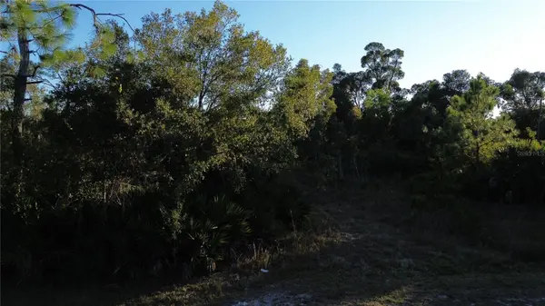 27481 SENATOR DR, Punta Gorda, FL 33955