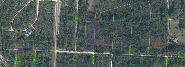 810 PACIFIC ST, Lake Placid, FL 33852