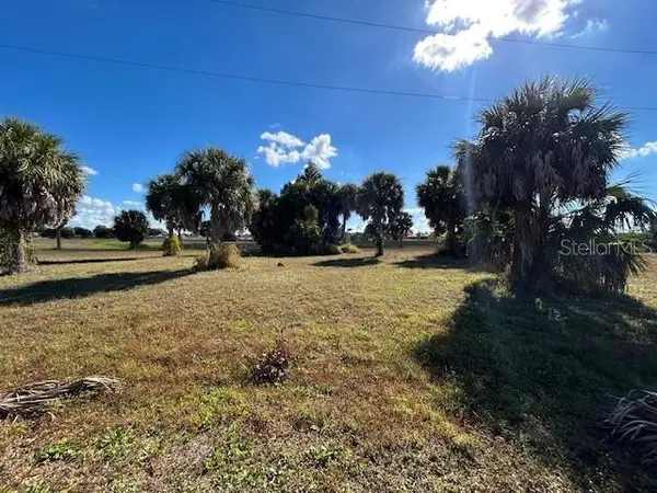 16260 JUAREZ CT, Punta Gorda, FL 33955