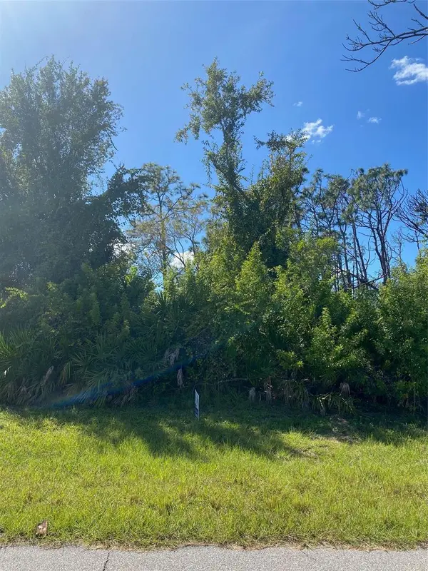 119 WAHOO DR, Rotonda West, FL 33947