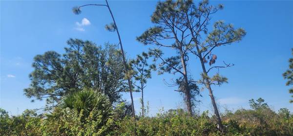 4163 HOLLYBROOK ST, Port Charlotte, FL 33981