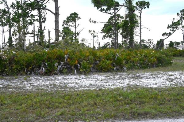 16 COXSWAIN CIR, Placida, FL 33946