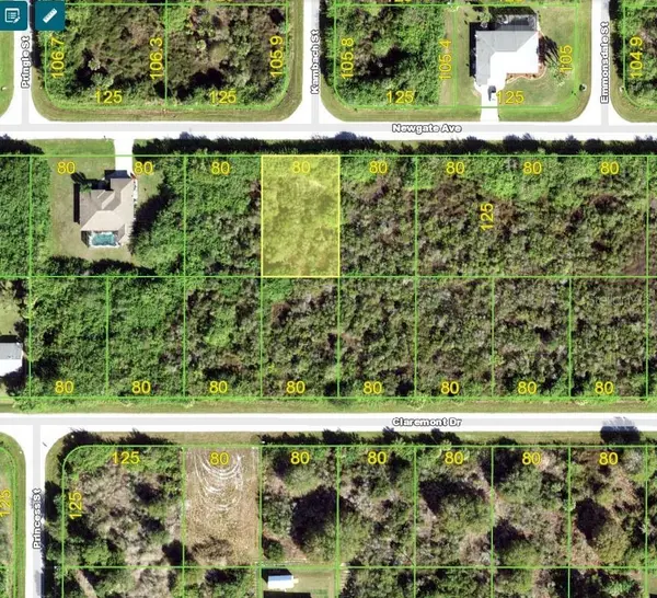 12105 NEWGATE AVE, Port Charlotte, FL 33981
