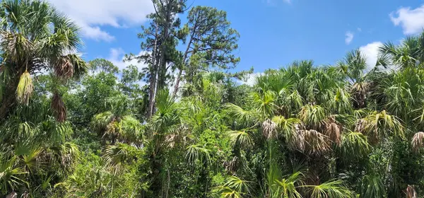 436 HUTCHINS ST, Port Charlotte, FL 33953