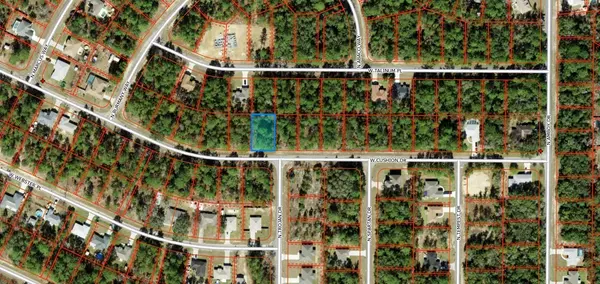 3357 W CUSHION DR, Citrus Springs, FL 34433